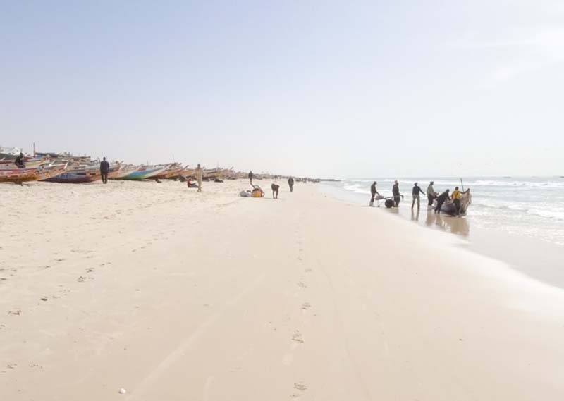 Mauritania-playa-pesc-Svens-Travel